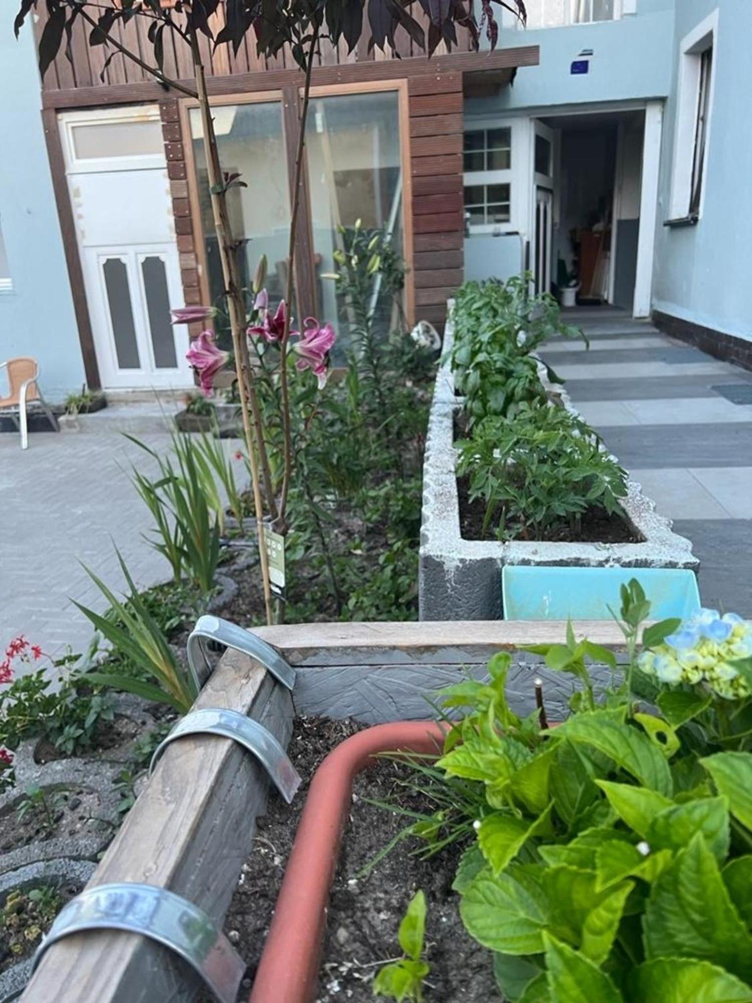 Antike Wohnmoeglichkeit Kurz Und Langfristig 100Qm Erdgeschoss Apartamento Lauchhammer Exterior foto