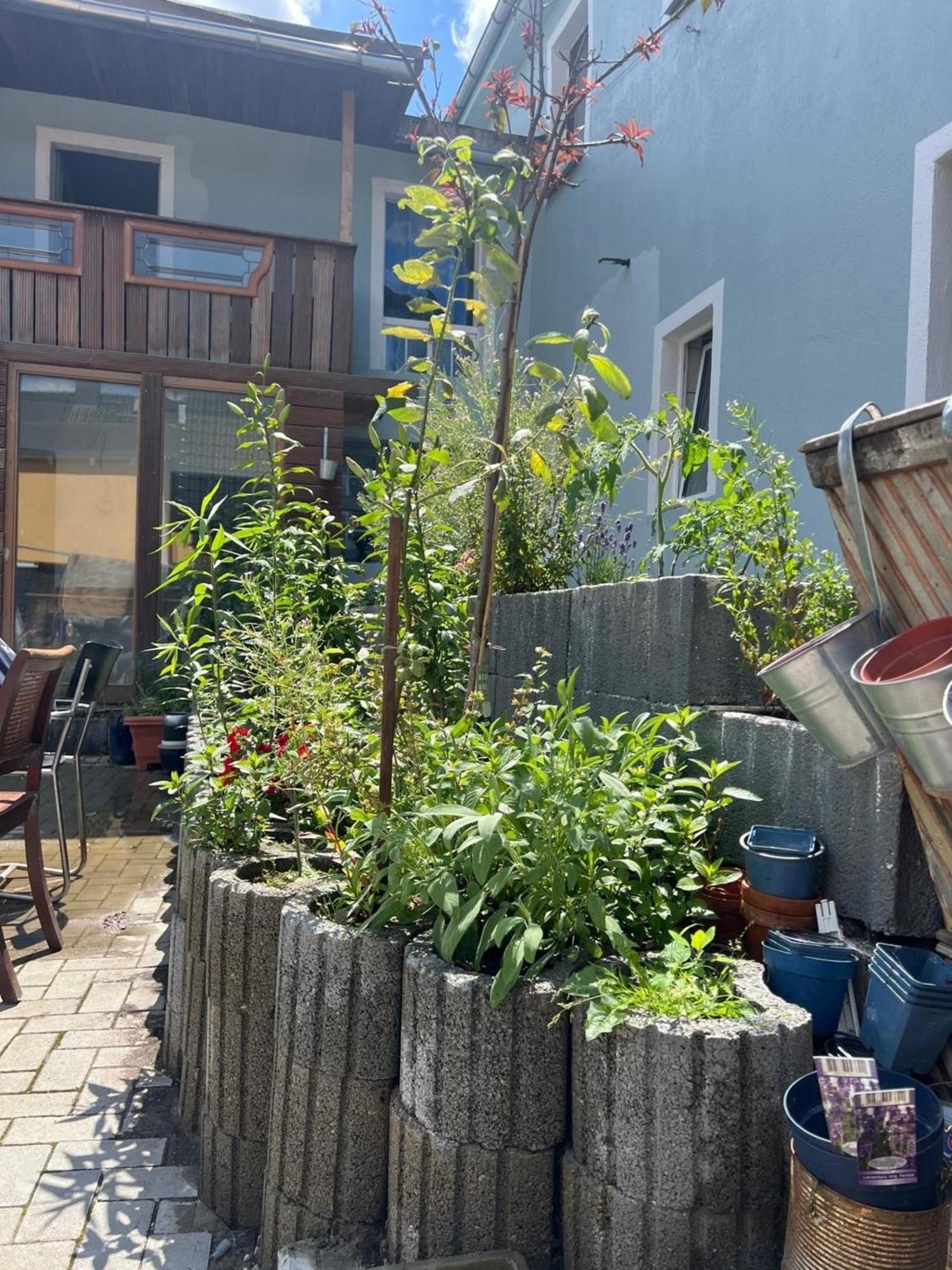 Antike Wohnmoeglichkeit Kurz Und Langfristig 100Qm Erdgeschoss Apartamento Lauchhammer Exterior foto